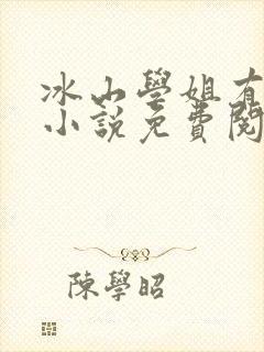 冰山学姐有点甜小说免费阅读无弹窗