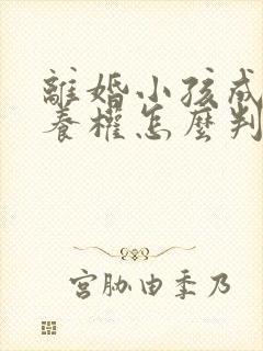 离婚小孩成年抚养权怎么判定