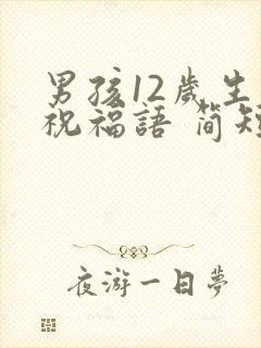 男孩12岁生日祝福语 简短独特