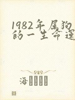 1982年属狗的一生命运