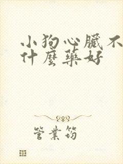 小狗心脏不好吃什么药好