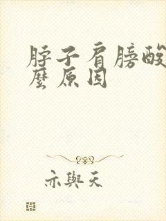 脖子肩膀酸痛什么原因