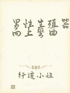 男性生殖器勃起向上弯曲