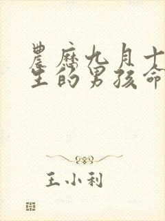 农历九月十八出生的男孩命运