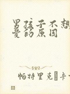 男孩子不想谈恋爱的原因