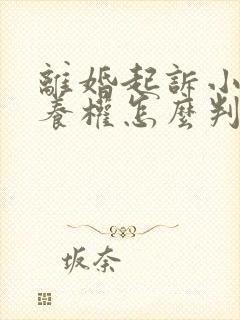 离婚起诉小孩抚养权怎么判封面