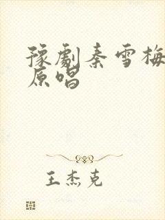 豫剧秦雪梅吊孝原唱