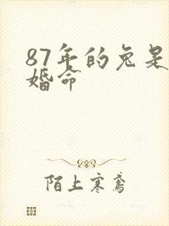 87年的兔是二婚命