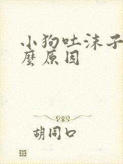 小狗吐沫子是什么原因