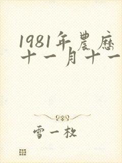 1981年农历十一月十一日出生的命运
