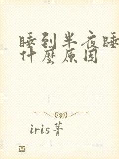 睡到半夜睡不着什么原因