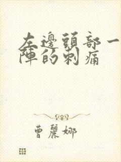 左边头部一阵一阵的刺痛