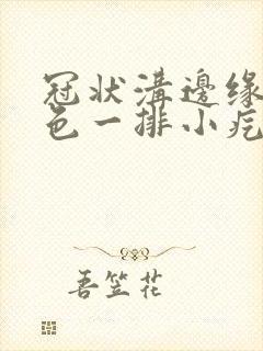 冠状沟边缘长肉色一排小疙瘩