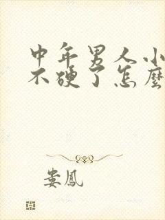 中年男人小弟弟不硬了怎么办