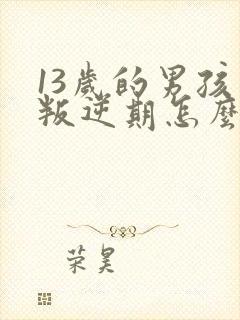 13岁的男孩了叛逆期怎么教