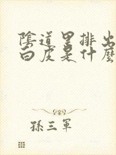 阴道里排出来的白皮是什么