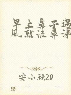 早上鼻子遇到冷风就流鼻涕打喷嚏