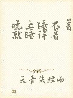 晚上睡不着白天就睡得着封面