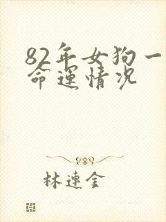 82年女狗一生命运情况封面