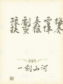 豫剧秦雪梅吊孝扶灵柩伴奏