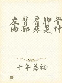 左背肩胛骨下部内部疼是什么原因