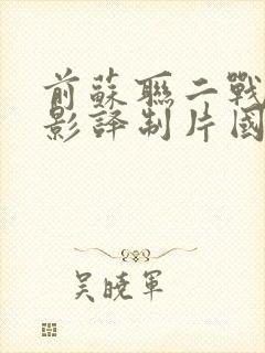 前苏联二战老电影译制片国语封面