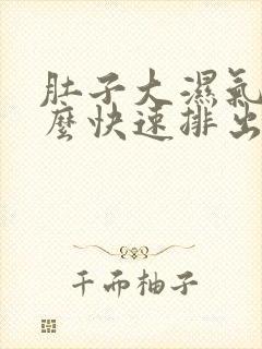 肚子大湿气重怎么快速排出