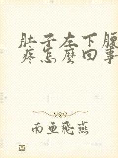 肚子左下腹经常疼怎么回事