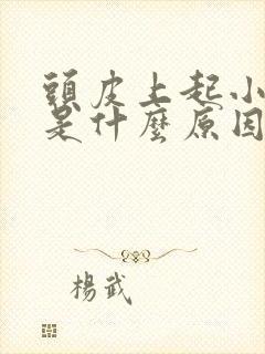 头皮上起小疙瘩是什么原因