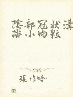 阴部冠状沟有一排小肉粒