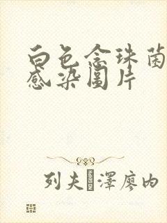 白色念珠菌龟头感染图片封面