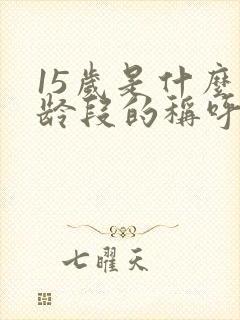 15岁是什么年龄段的称呼封面
