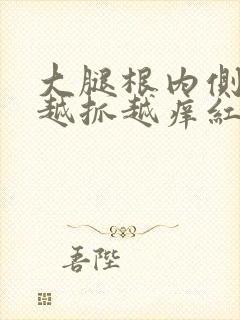 大腿根内侧痒痒越抓越痒红疙瘩