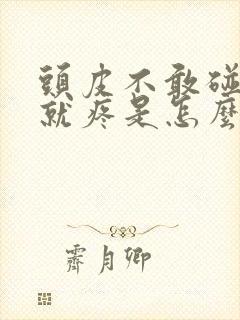 头皮不敢碰一碰就疼是怎么回事