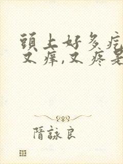 头上好多疙瘩,又痒,又疼是怎么回事