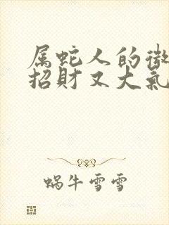 属蛇人的微信名招财又大气的