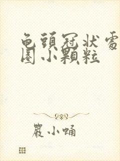 龟头冠状处有一圈小颗粒封面