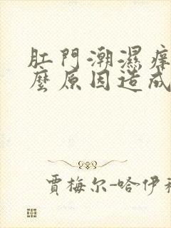 肛门潮湿痒是什么原因造成的