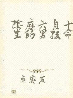 阴历六月十五出生的男孩命运