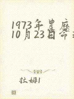 1973年农历10月23日命运