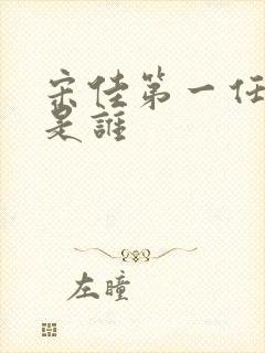 宋佳第一任丈夫是谁封面