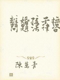 离婚孩子抚养权问题法律咨询