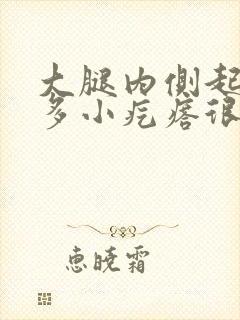 大腿内侧起了好多小疙瘩很痒