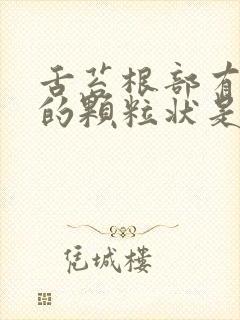 舌苔根部有红色的颗粒状是什么原因封面