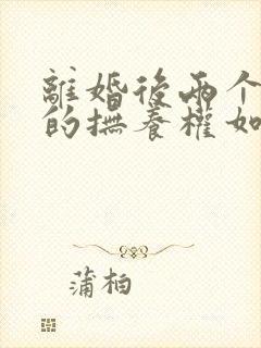 离婚后两个孩子的抚养权如何分