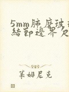 5mm肺磨玻璃结节边界欠清