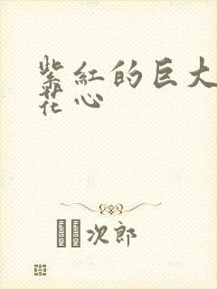 紫红的巨大顶开花心