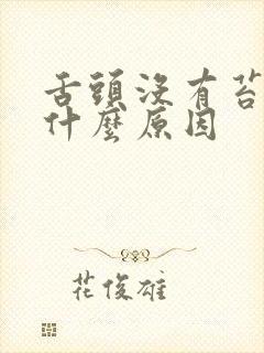 舌头没有苔白是什么原因