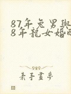 87年兔男与88年龙女婚配封面