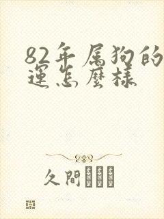82年属狗的命运怎么样